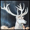 hirsch-2.0-30x30